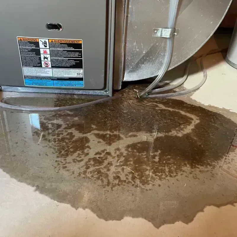 Appliance Leak Cleanup in Homewood, IL